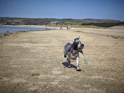 Marazion Beach